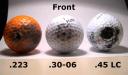 Golf Front