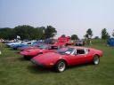 12-pantera_row_m.jpg