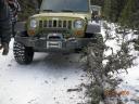 jeep_tree1.jpg