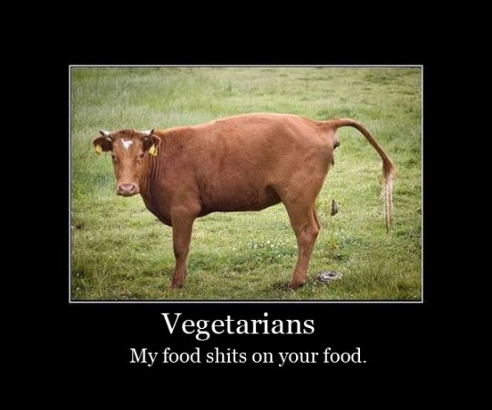 beef.jpg